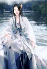 全职高手H